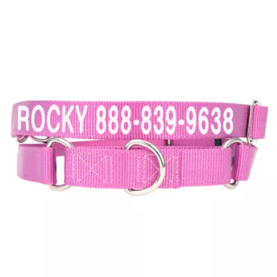 Coastal Pet Products Personalized Martingale Dog Collar - Image 1