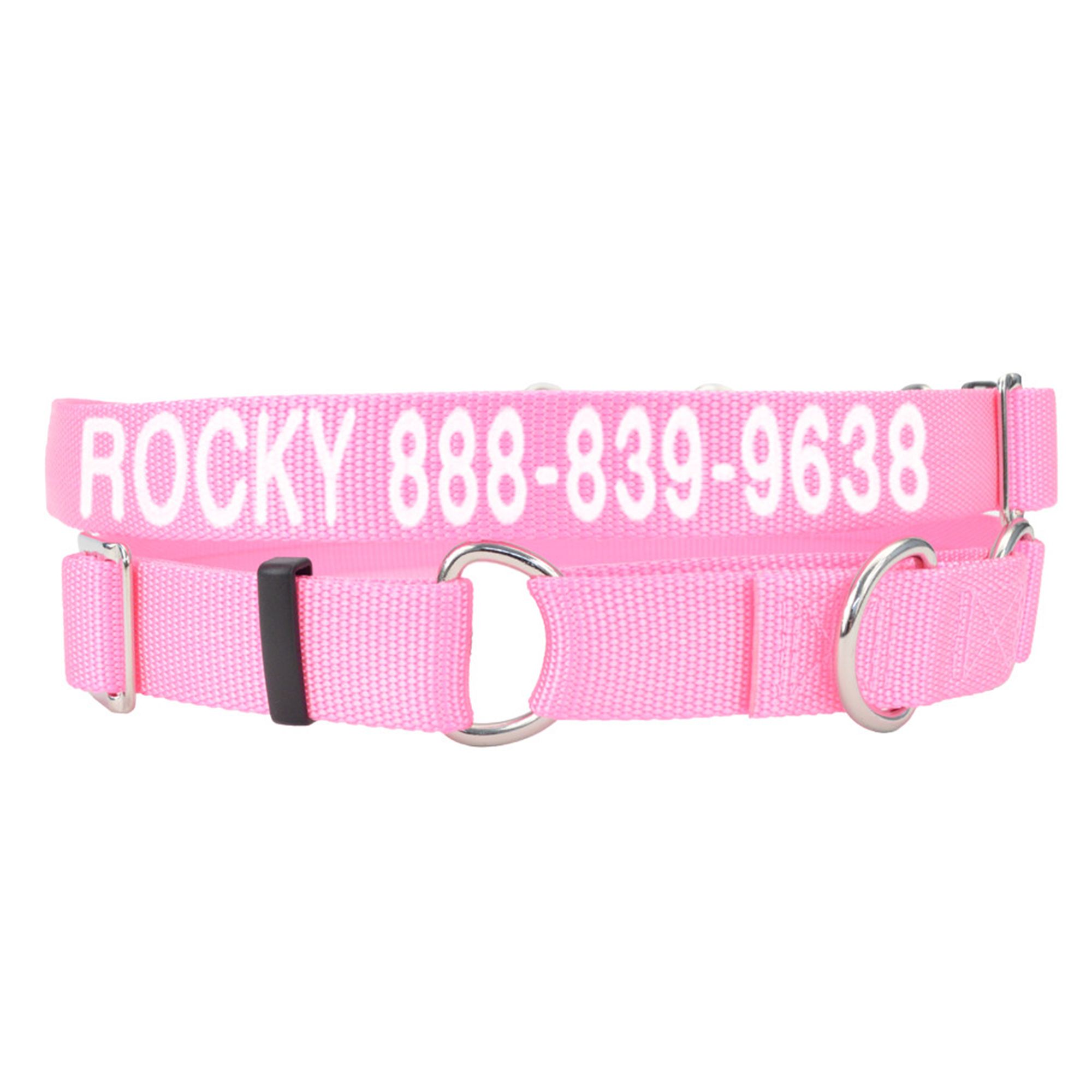 dog collar without buckle