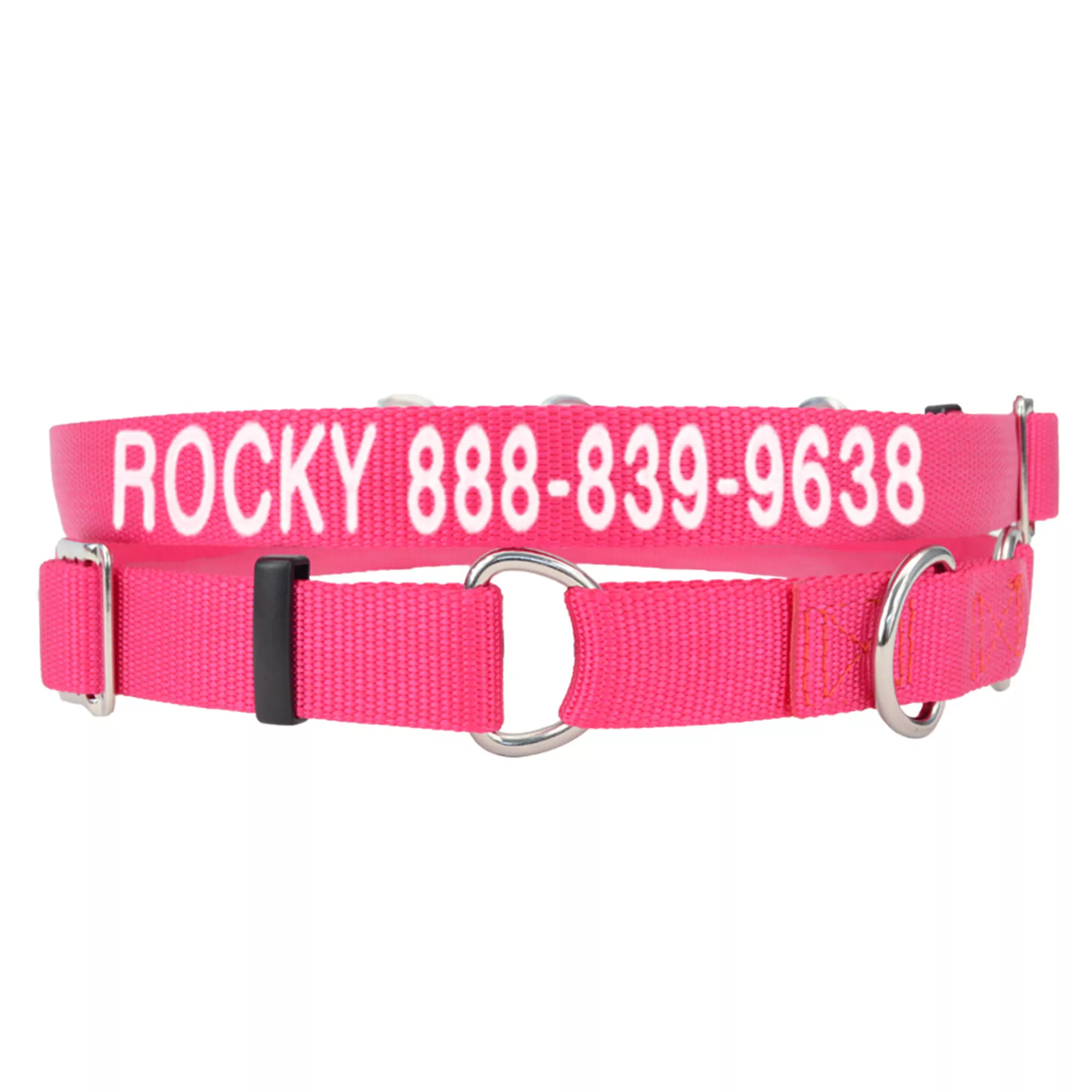 Coastal Pet Products Personalized Martingale Dog Collar