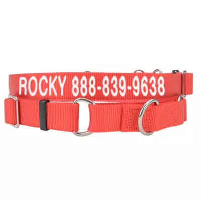 Coastal Pet Products Personalized Martingale Dog Collar - Image 1