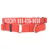 Coastal Pet Products Personalized Martingale Dog Collar image thumbnail 1