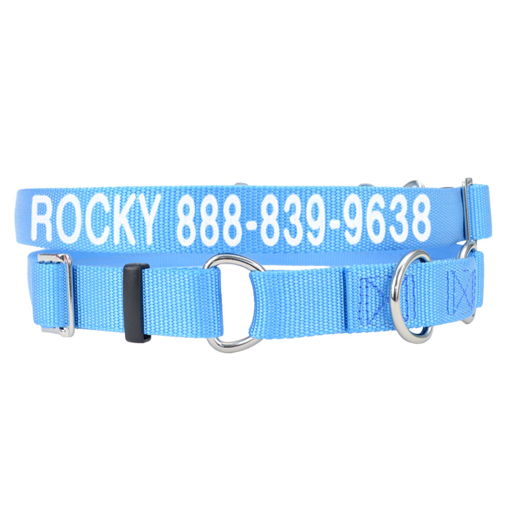 Coastal Pet No Slip Personalized Dog Collar in Light Blue, 5/8 Width