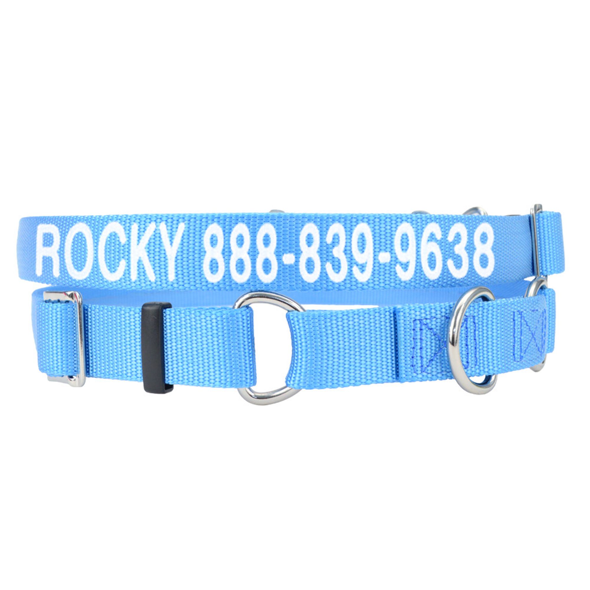 Lighted dog deals collars petsmart