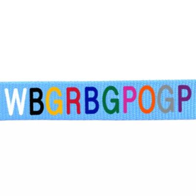 Coastal Pet Products Personalized Double Ply Nylon Dog Leash - Image 2