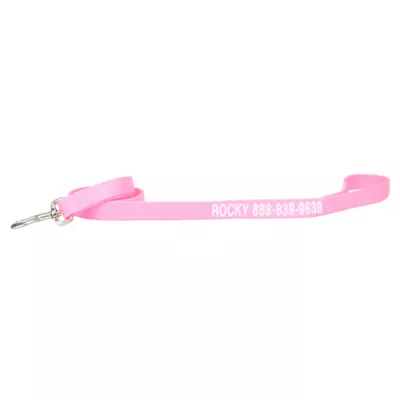 Product Coastal Pet Products Personalized Double Ply Nylon Dog Leash