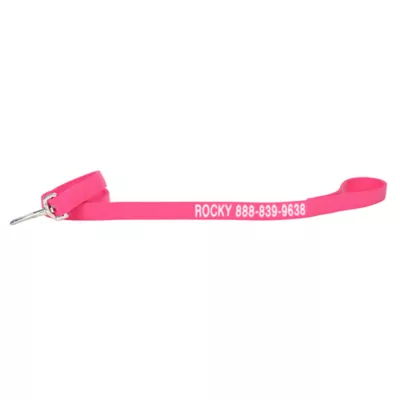 Coastal Pet Products Personalized Double Ply Nylon Dog Leash - Image 1