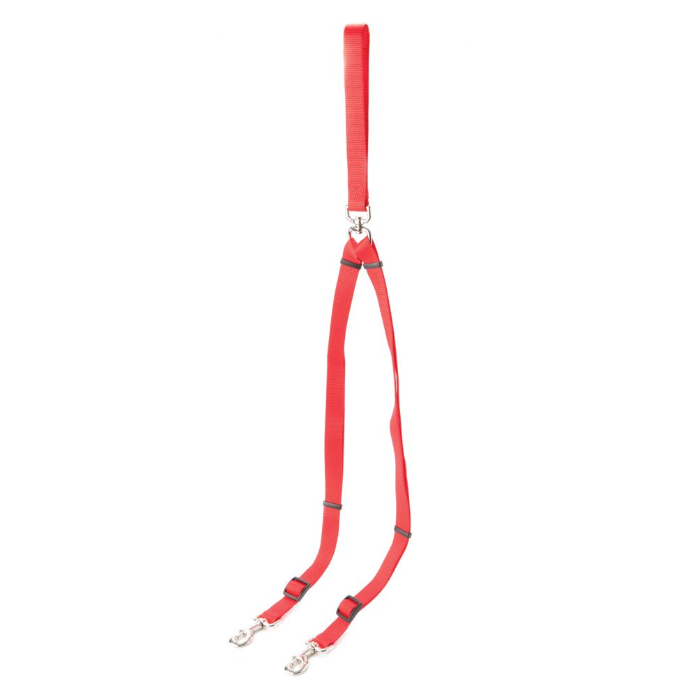 petsmart double leash