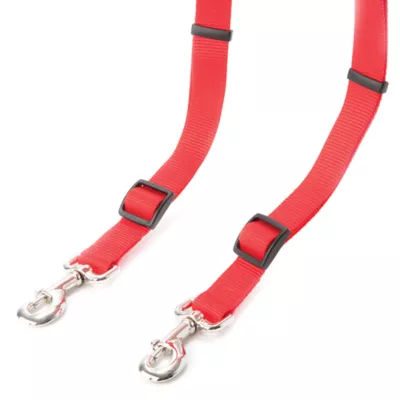 Coastal Pet Products Personalized Double Walker Dog Leash 4 ft long