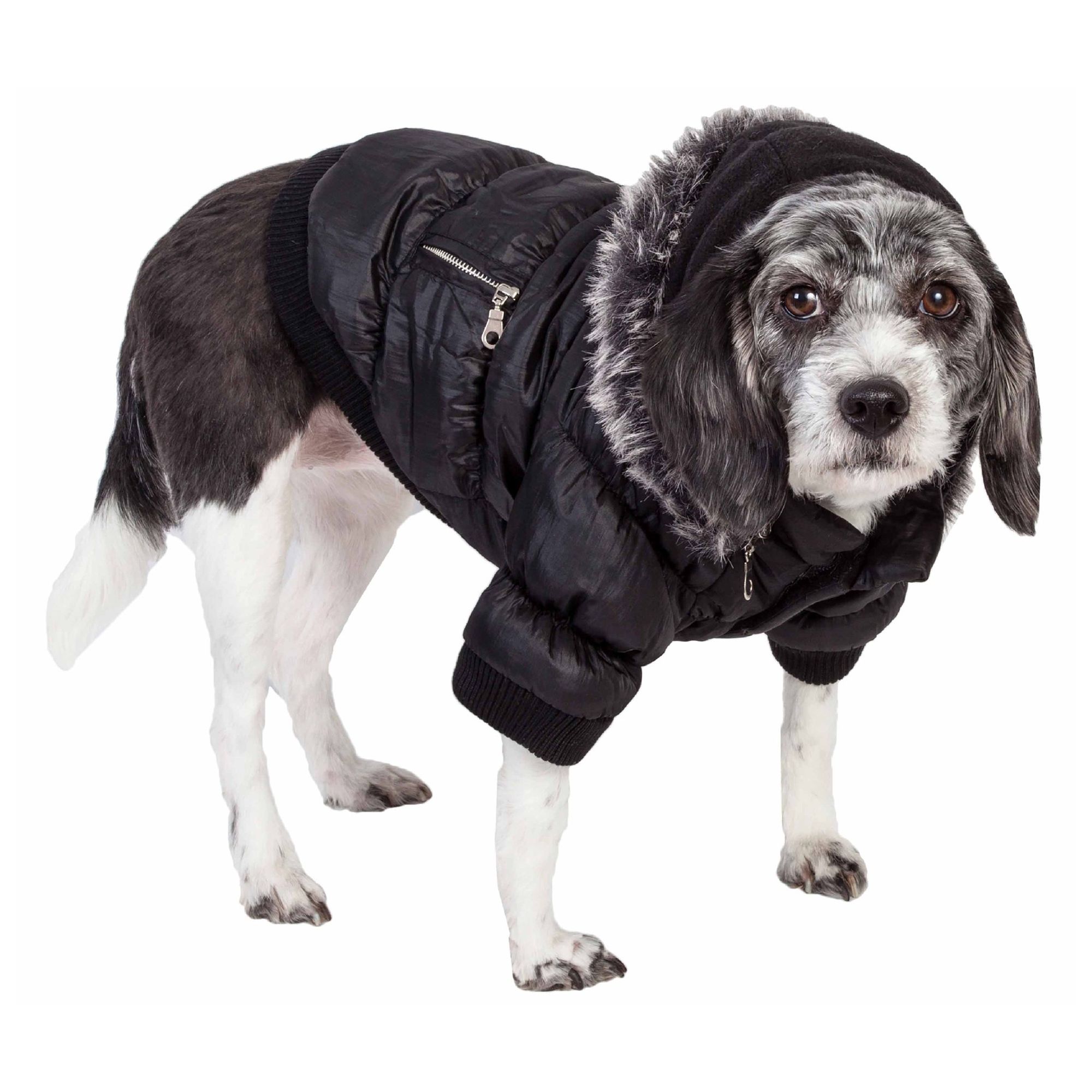 Pet Life Ski Parka Dog Coat | dog Sweaters & Coats | PetSmart