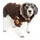 Product Pet Life Argyle Parka Dog Coat