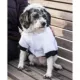 Product Pet Life Snow Fashion Parka Dog Coat