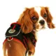 Product Pet Life Pet Harness with Pouch
