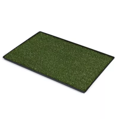 Product Prevue Pet Products Dog Tinkle Turf