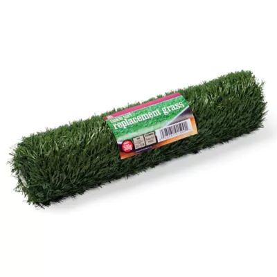 Product Prevue Pet Products Dog Tinkle Turf Replacement