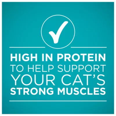 Product Purina ONE® +Plus Ideal Weight Adult Cat Wet Food - 3.33 oz., Natural