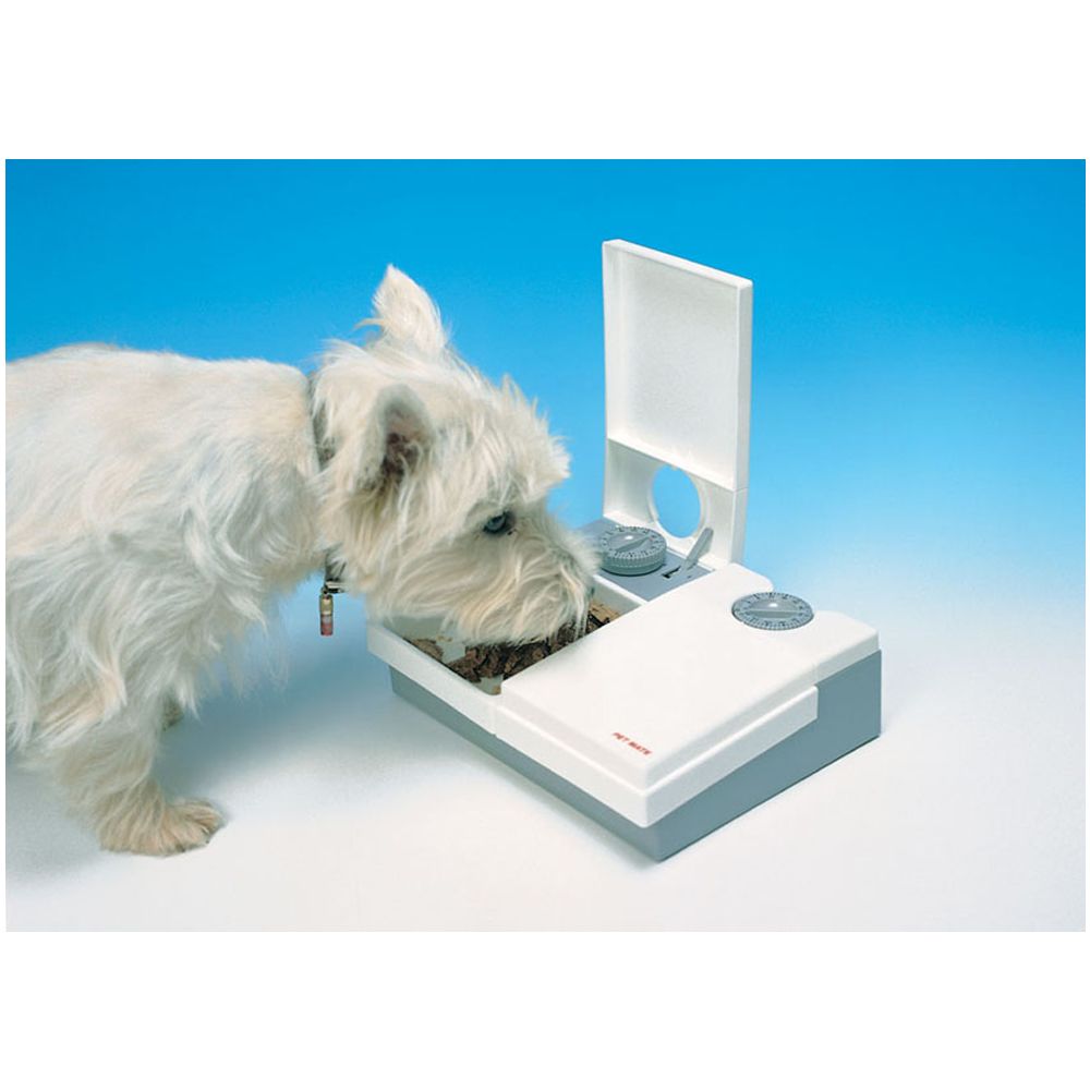 Cat Mate 2 Day Automatic Pet Feeder Cat Automatic Feeders Petsmart