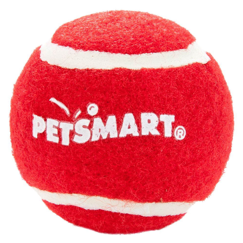petsmart dog ball