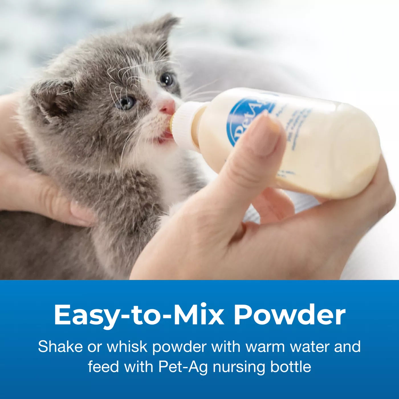 Baby formula milk for kittens best sale