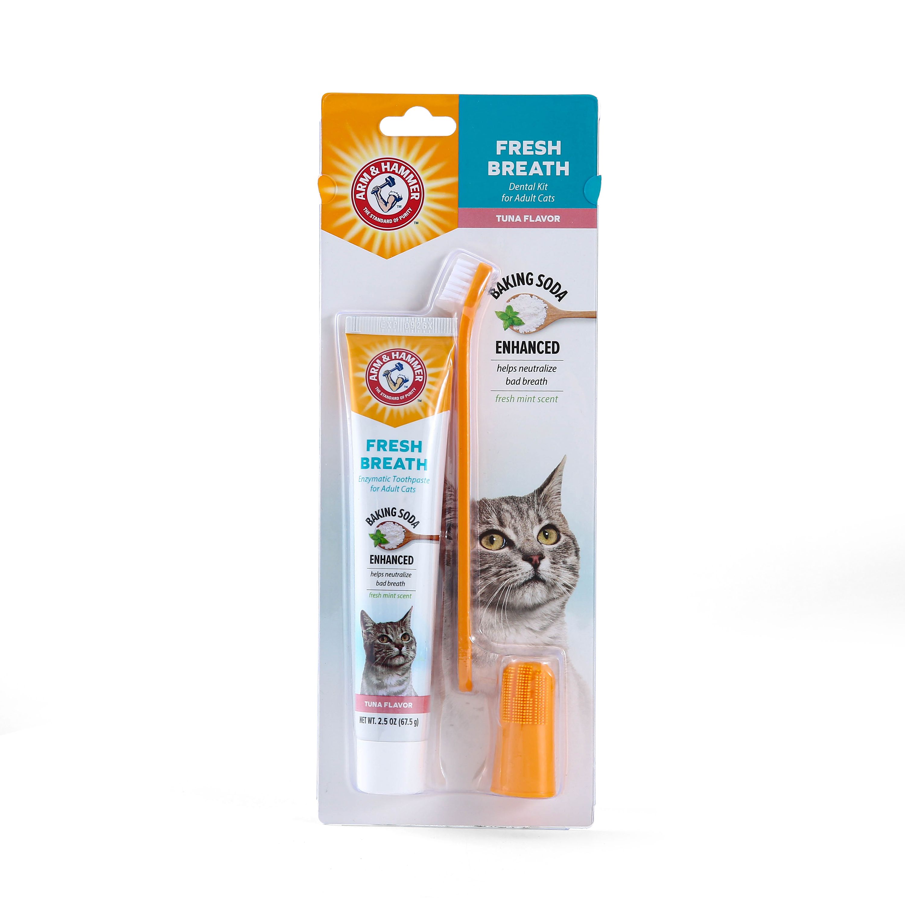 Kitten toothpaste sale