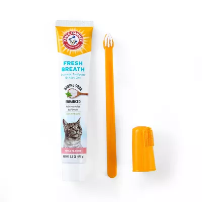 Cat toothbrush and toothpaste best sale