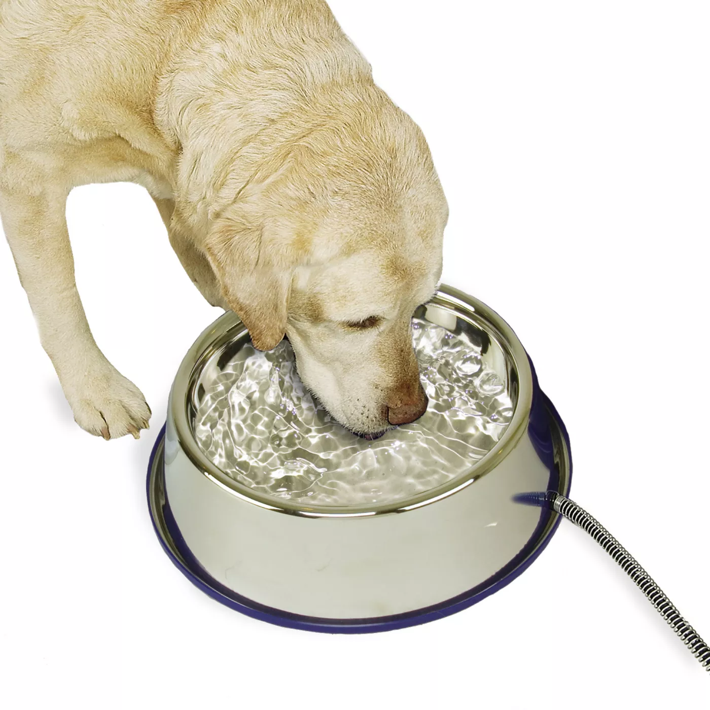 K H Thermal Dog Bowl