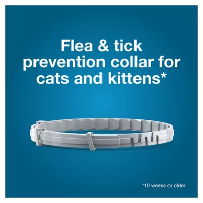 Product Seresto® Flea & Tick Cat Collar