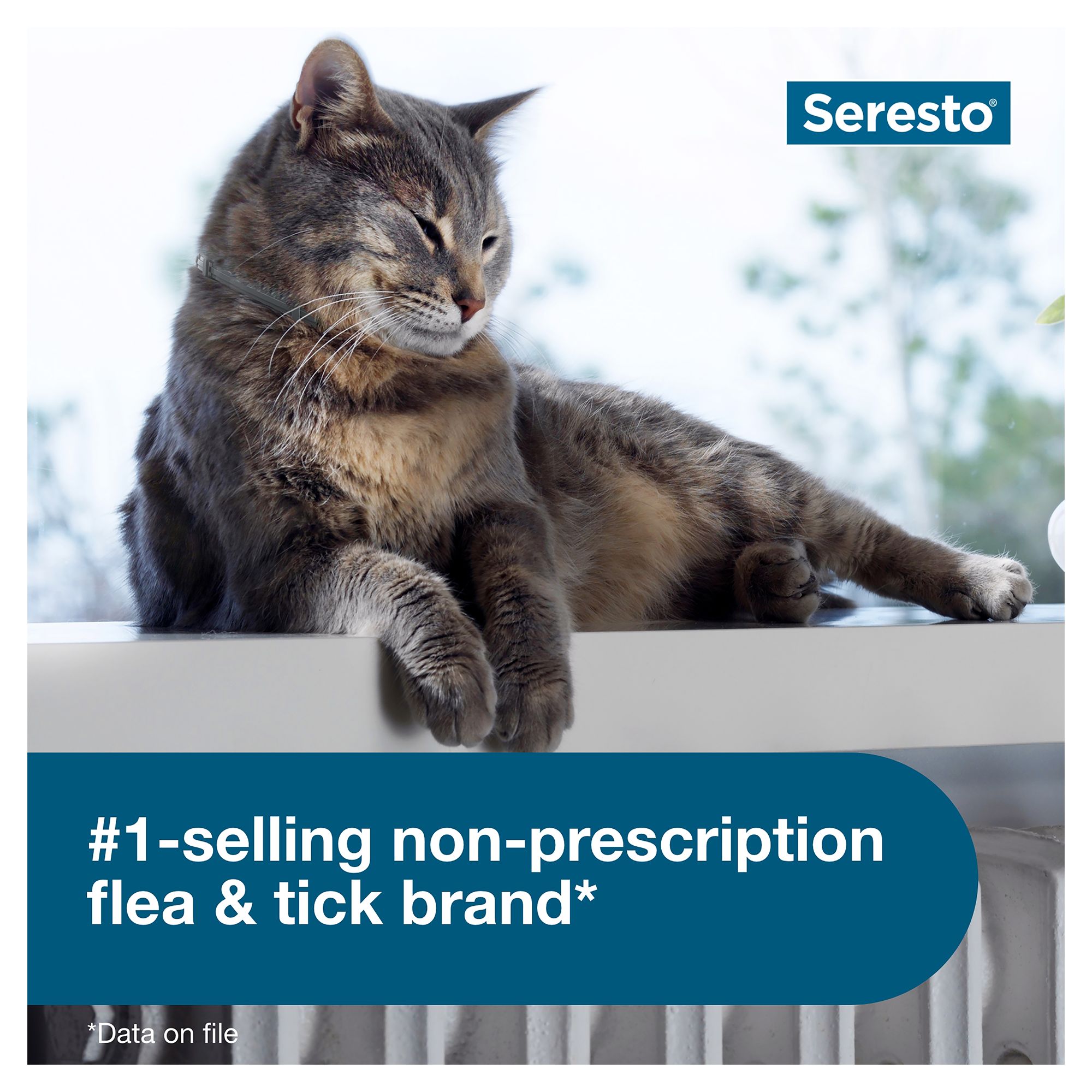 seresto cat