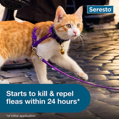 Product Seresto® Flea & Tick Cat Collar