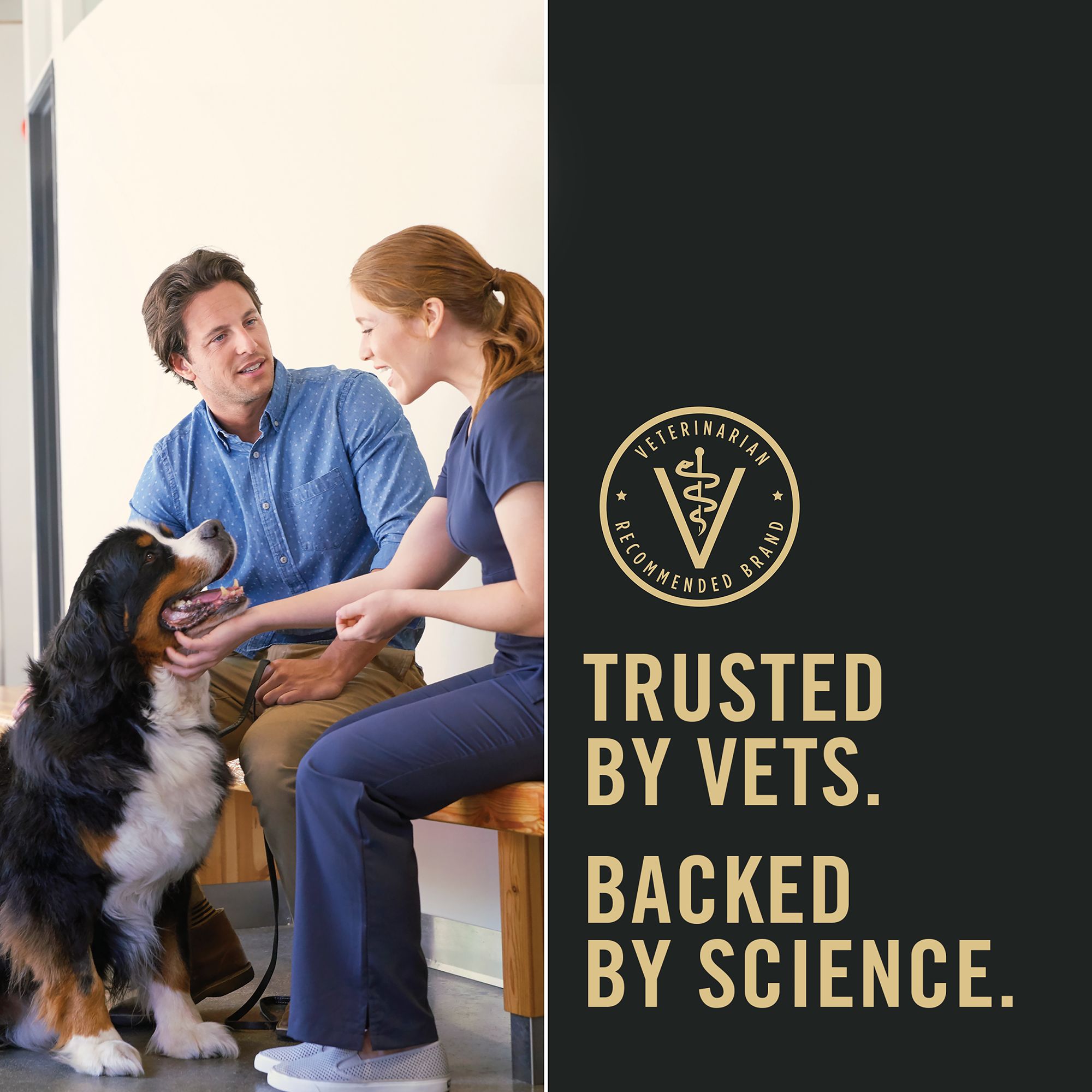 Purina pro plan salmon and sweet potato sale