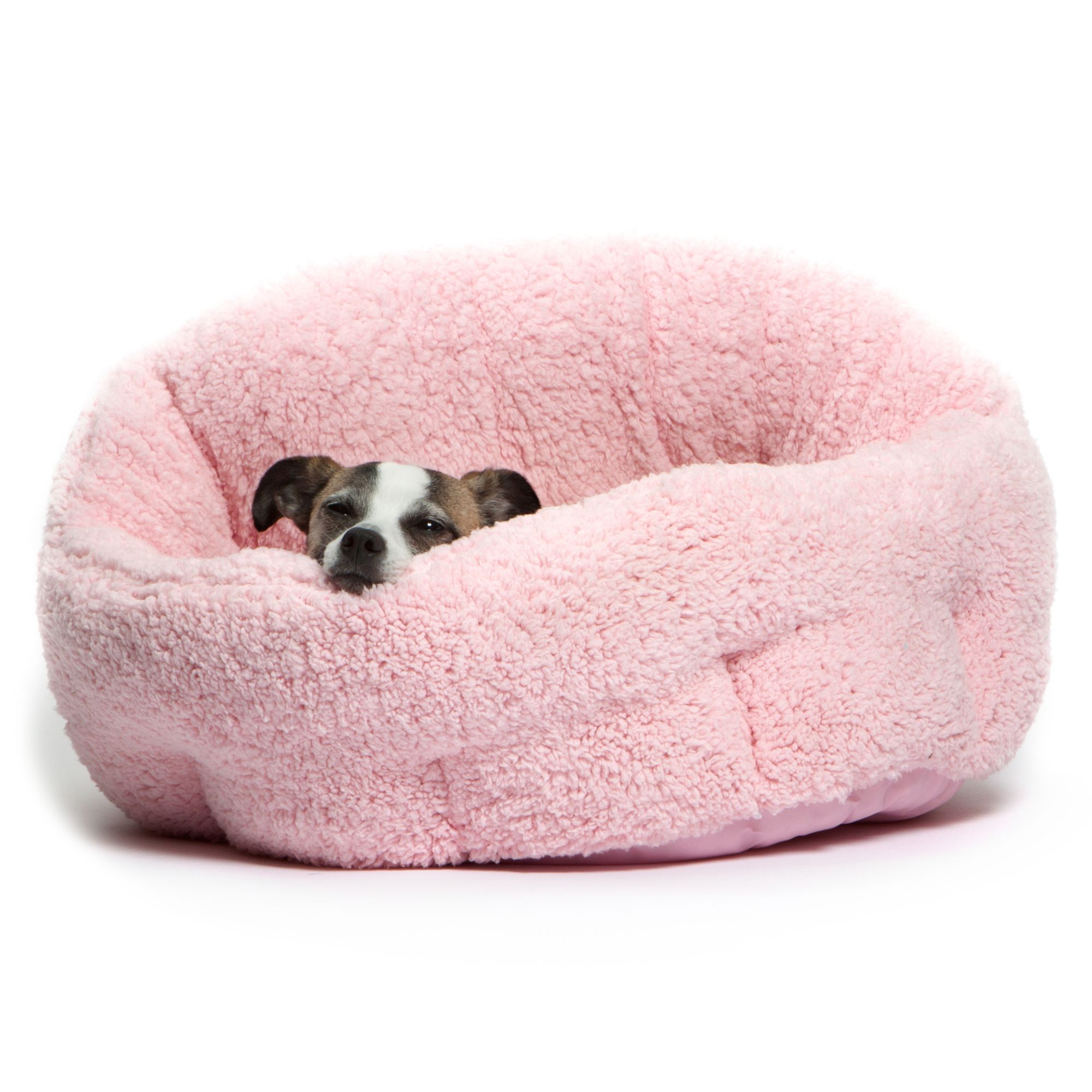 what kind of dog bed should i get