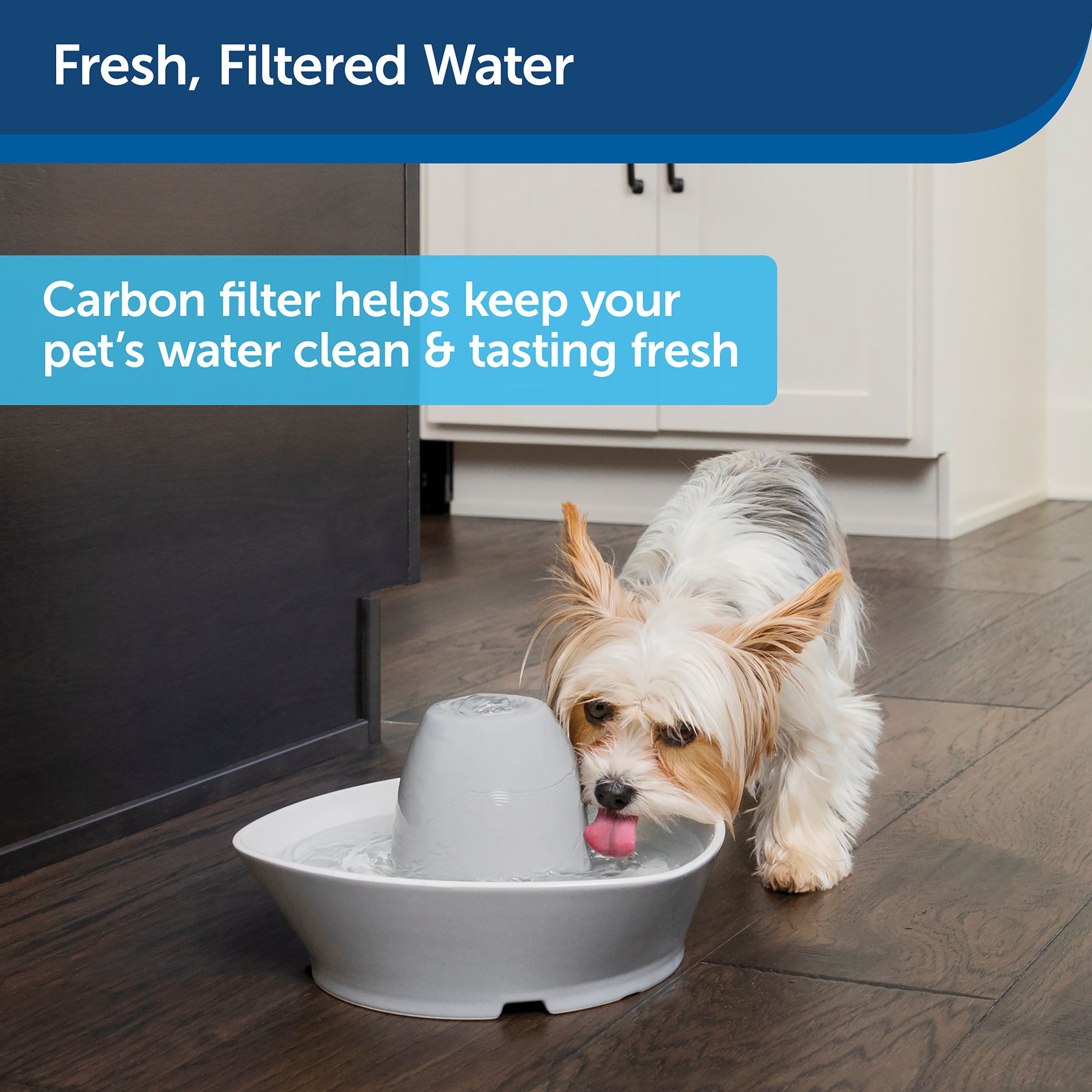 Petsafe Drinkwell Pet Fountain Charcoal Replacement Filters Cat Food Water Bowls Petsmart