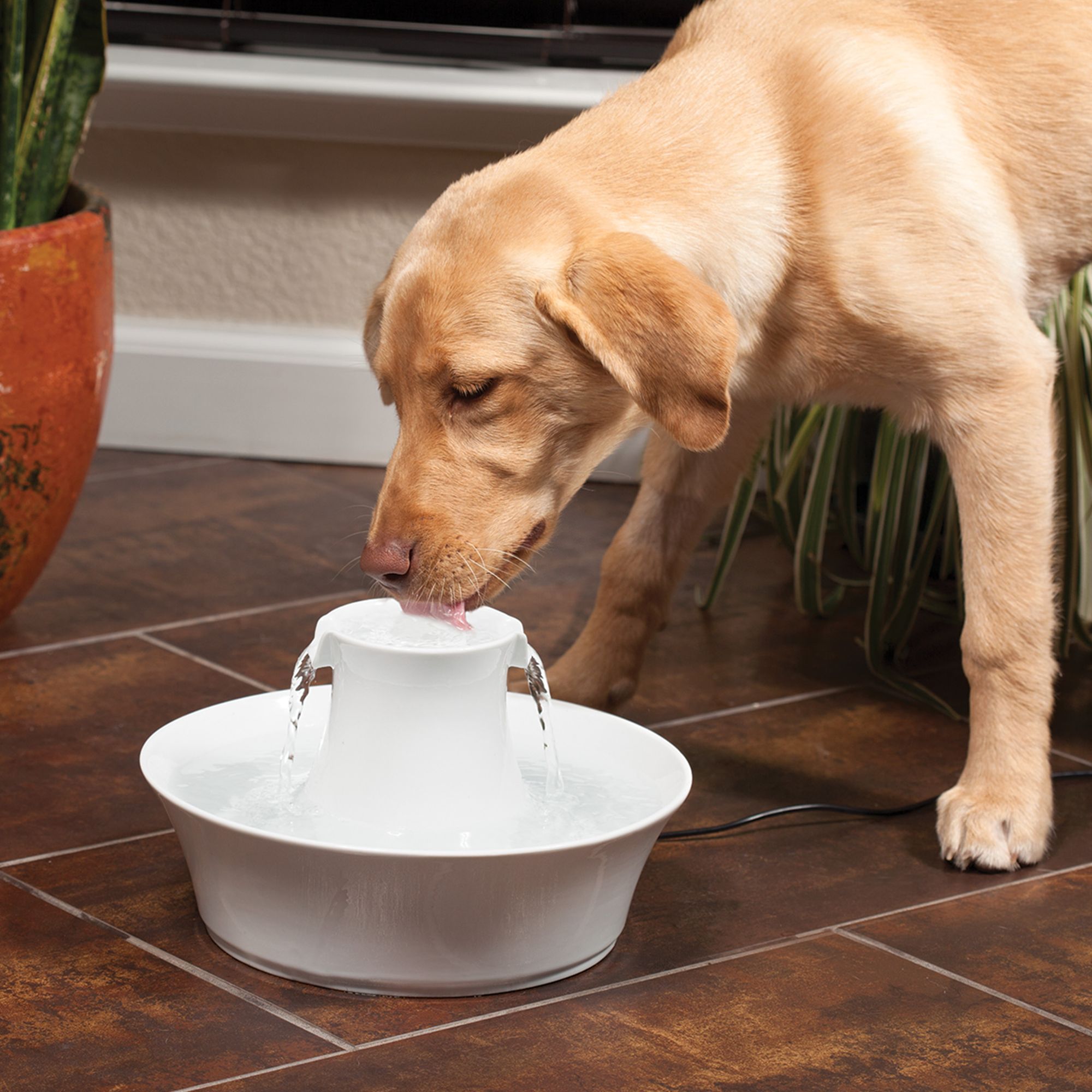 drinkwell stoneware avalon pet fountain