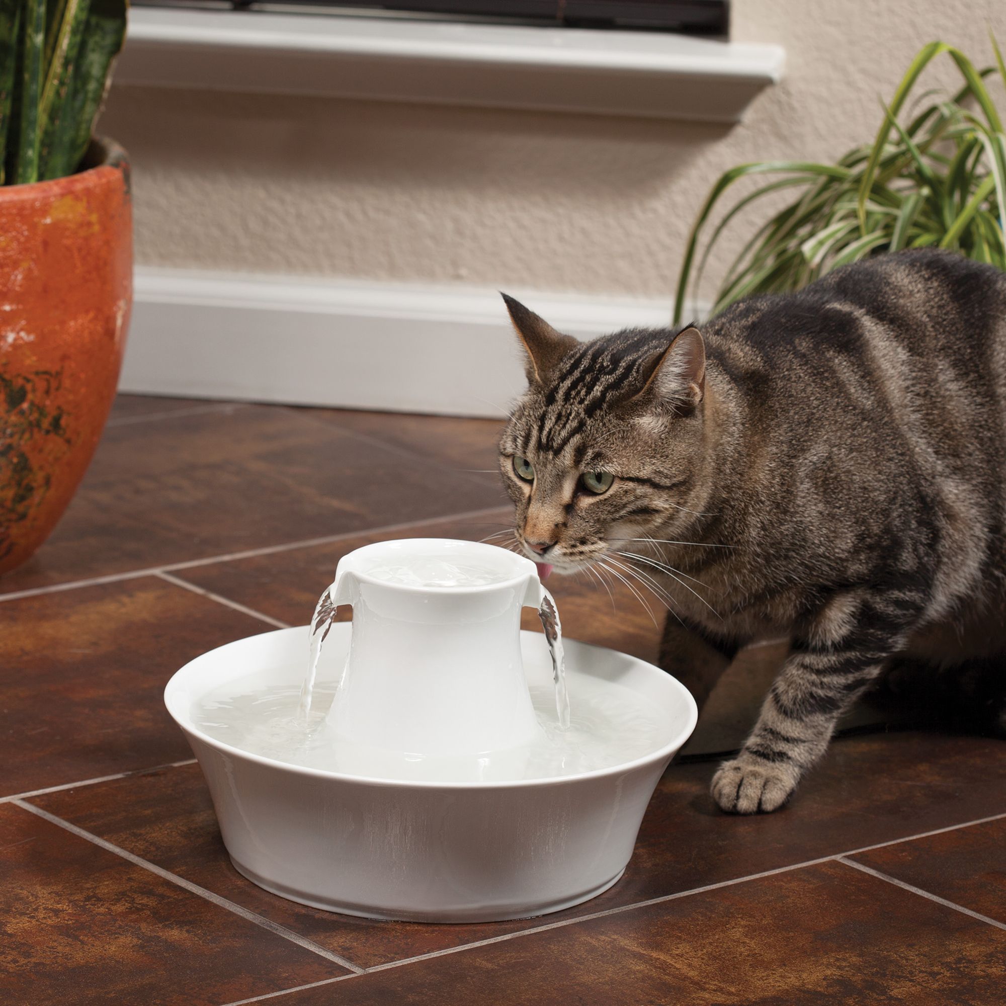 petsafe drinkwell ceramic fountain