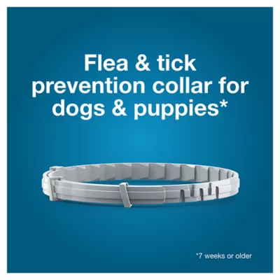 Product Seresto® Flea & Tick Dog Collar - Small