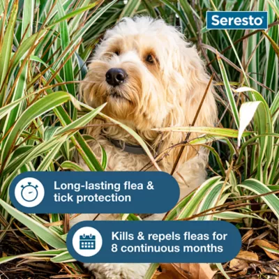 Seresto® Vet-Recommended 8-Month Collar, Flea & Tick Prevention for Small Dogs under 18 lbs - Image 6