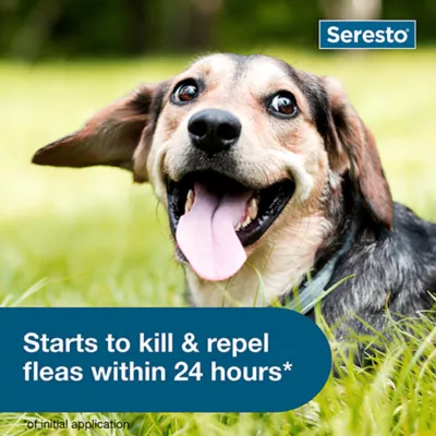 Product Seresto® Flea & Tick Dog Collar - Small