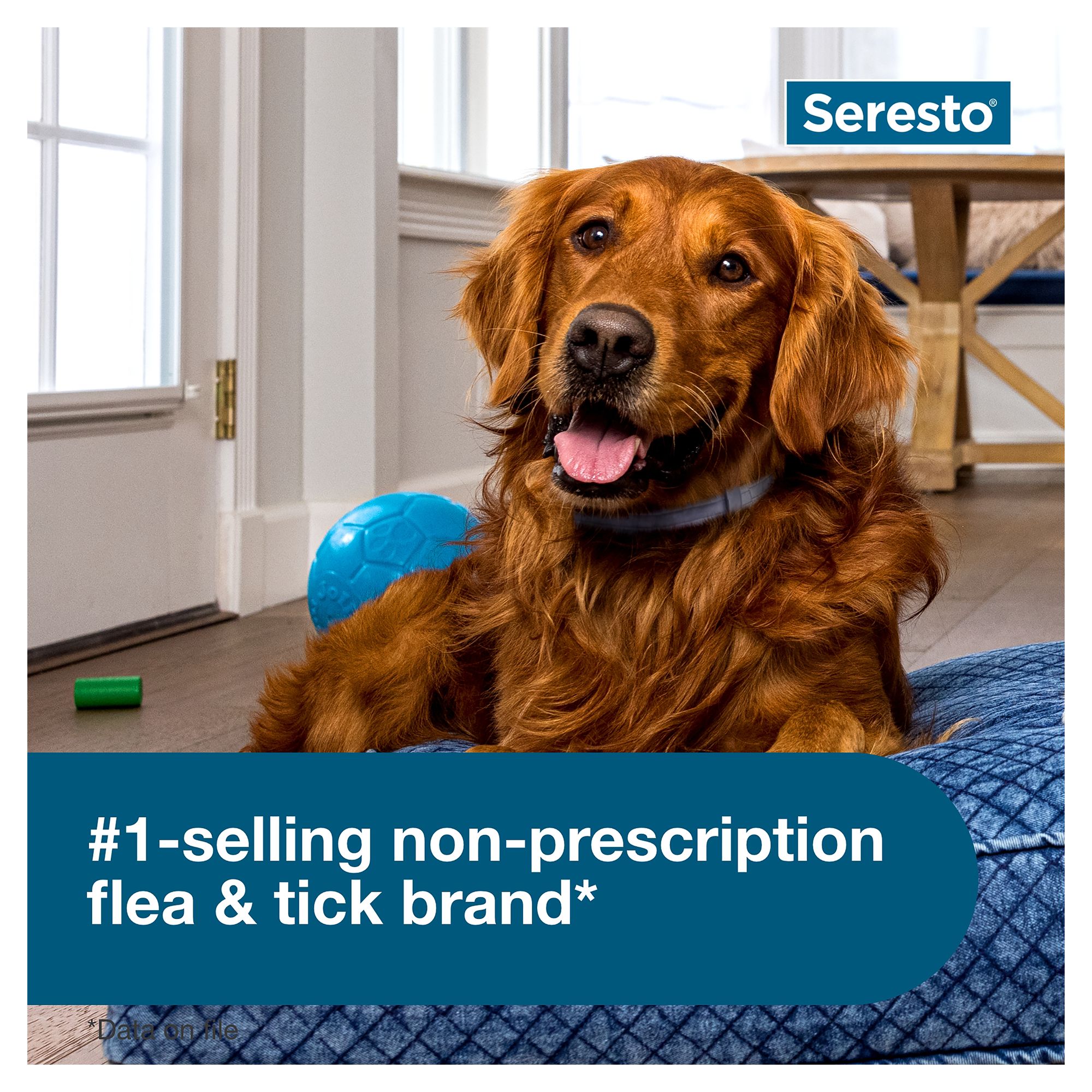 seresto collar for dogs