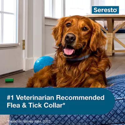 Product Seresto® Flea & Tick Dog Collar - Large