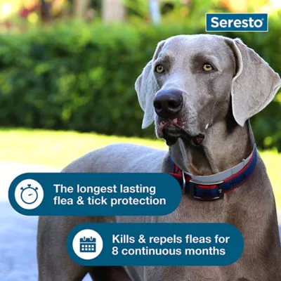 Product Seresto® Flea & Tick Dog Collar - Large