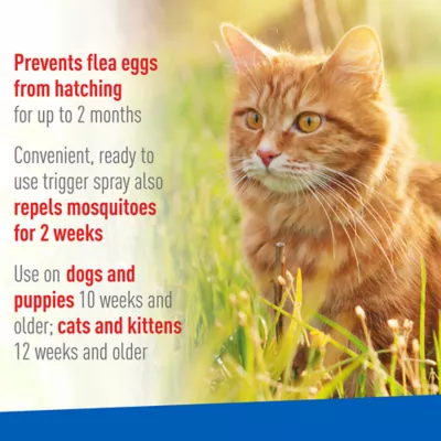 Product Adams™ Plus Flea & Tick Spray