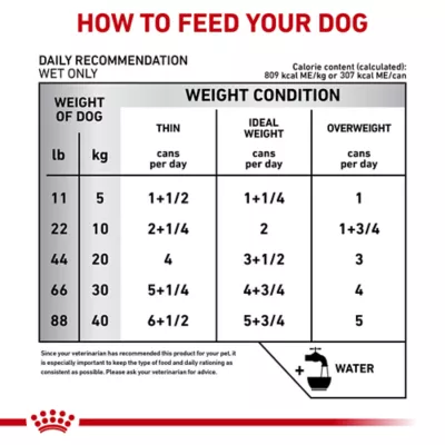 Product Royal Canin® Veterinary Diet Canine Glycobalance Adult Dog Loaf in Sauce Wet Food  13.4 oz can