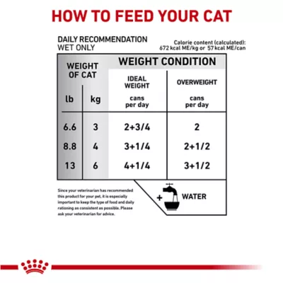 Product Royal Canin® Veterinary Diet Feline Glycobalance Adult Cat Thin Slices In Gravy Wet Food  3 oz can