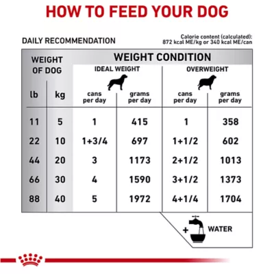 Product Royal Canin® Veterinary Diet Canine Hydrolyzed Protein Adult Dog Loaf in Sauce Food  13.7 oz can