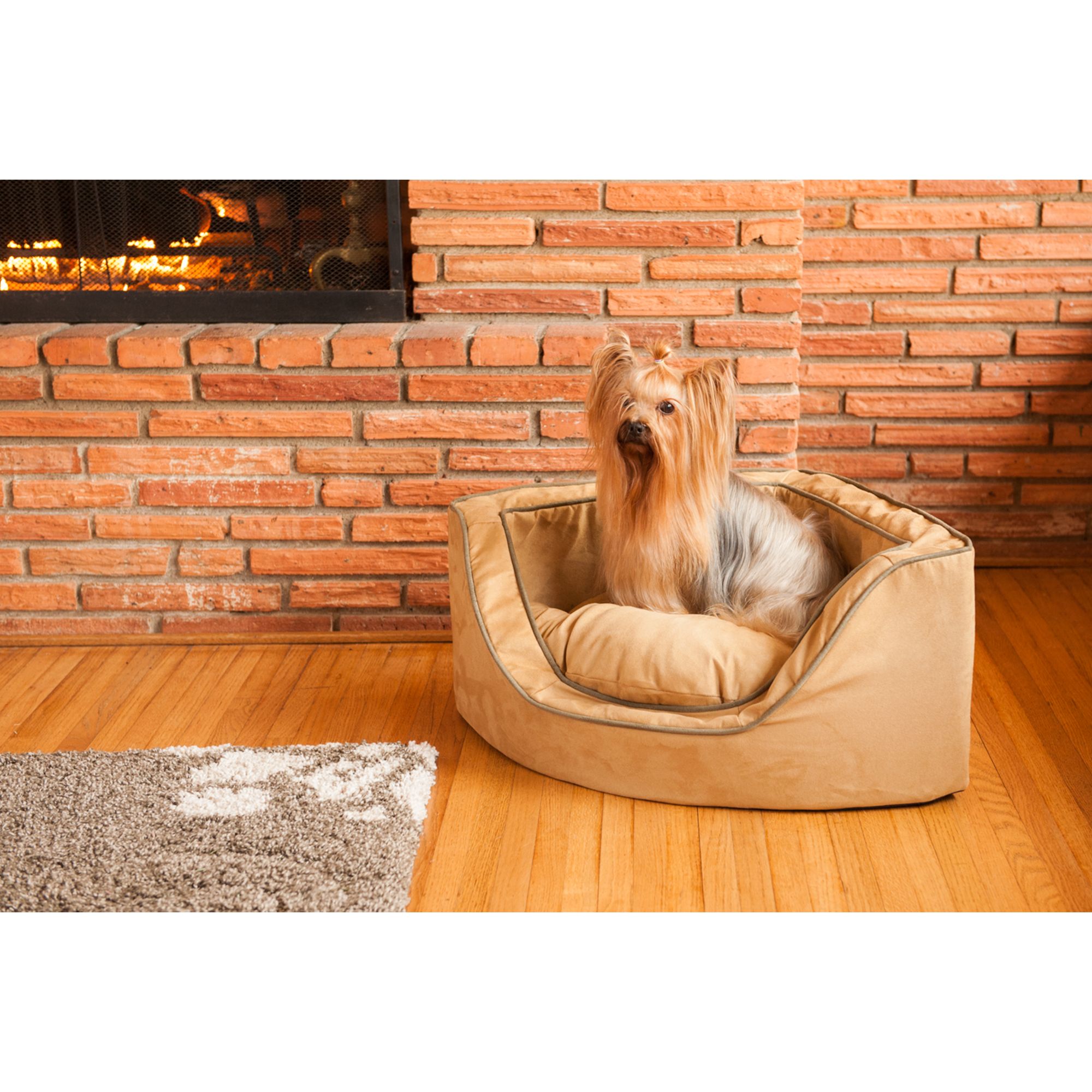 corner dog bed