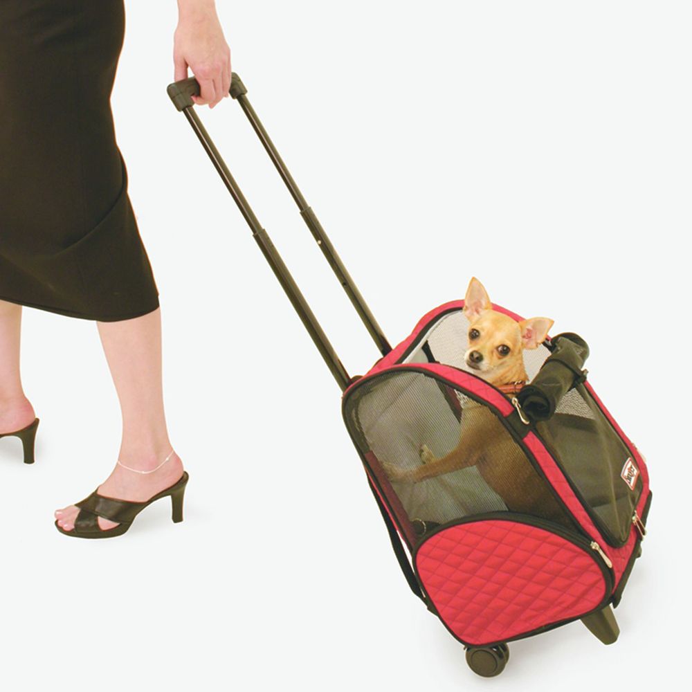 cat travel bag sale
