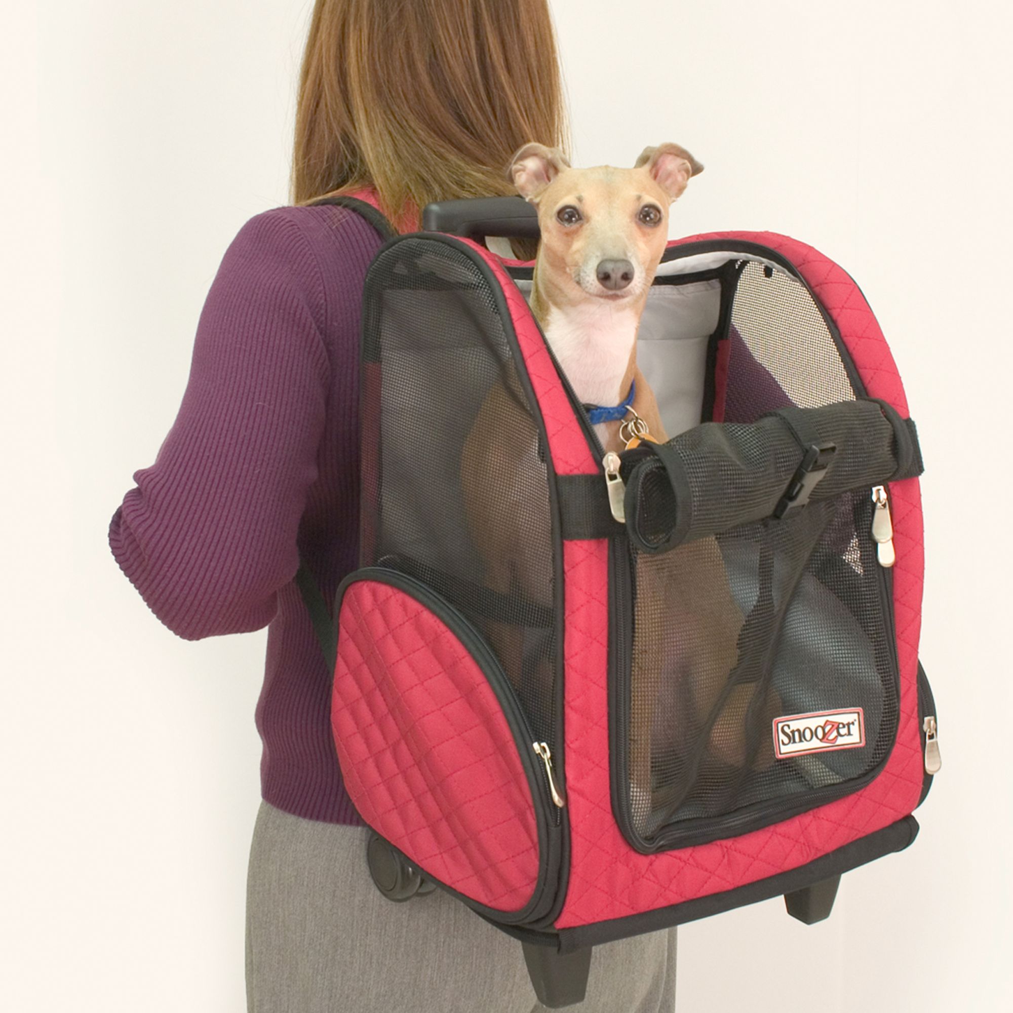snoozer pet carrier