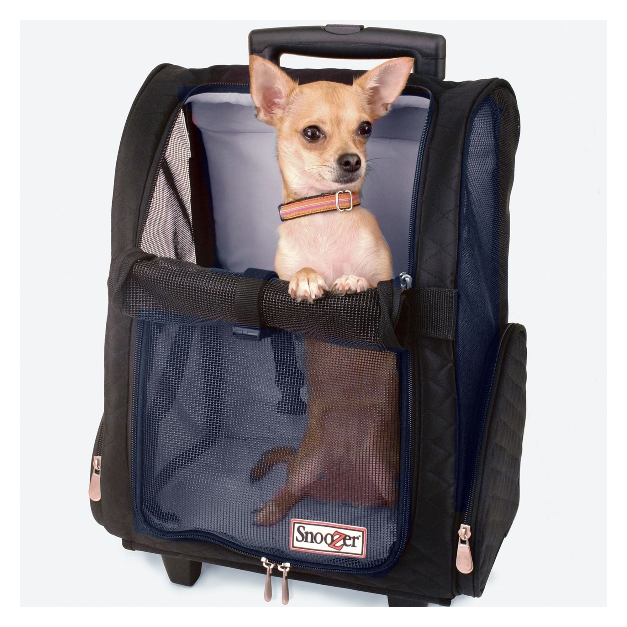 Backpacks for dogs store petsmart