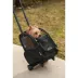 Snoozer® 4-in-1 Pet Roll Around image thumbnail 2