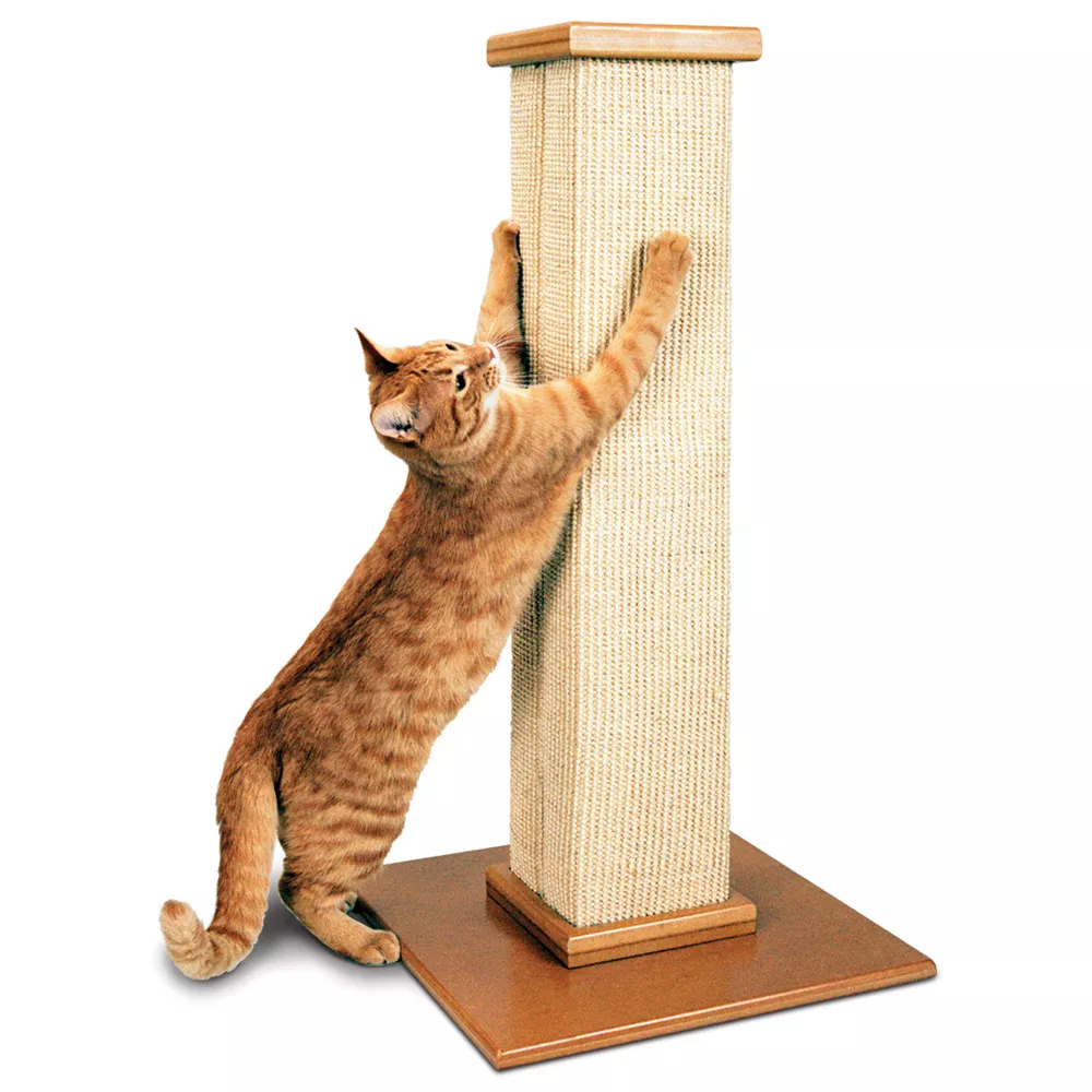 Cat scratchers pets at home hotsell