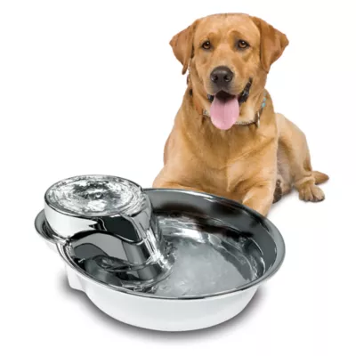 Product Pioneer Pet® Big Max™ Stainless Steel Pet Fountain